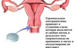 Линдинет 20 (Lindynette 20). Отзывы женщин, врачей, инструкция, побочные эффекты, состав, цена