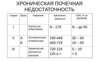 Нервная система при хпн