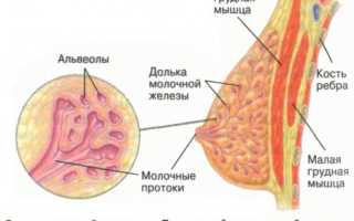Анэхогенное аваскулярное образование в яичнике: что делать?