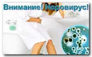 Норовирус: характеристика, заражение, признаки, лечение