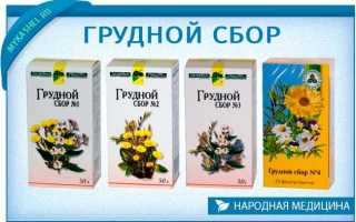 Все о грудных сборах от кашля: аптечные и приготовленные своими руками